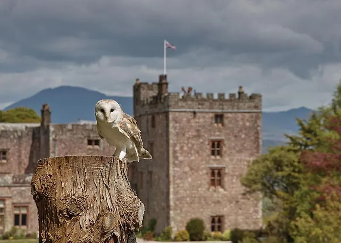 The Mayflower Parque de Campismo *