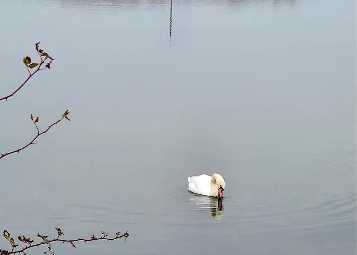 The Mayflower Parque de Campismo Millom