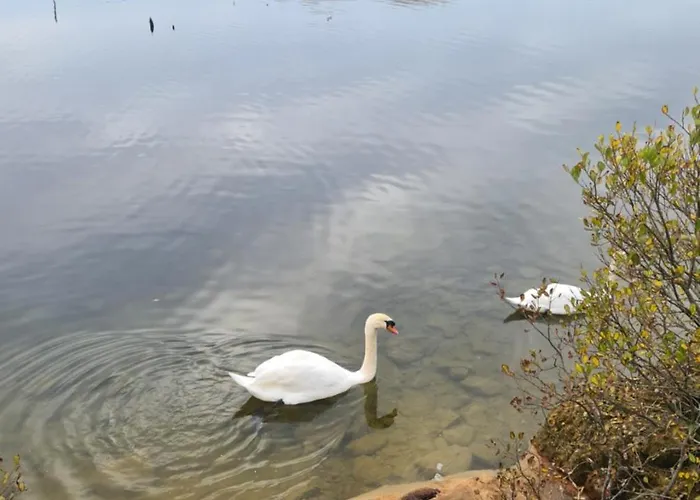 The Mayflower Parque de Campismo *