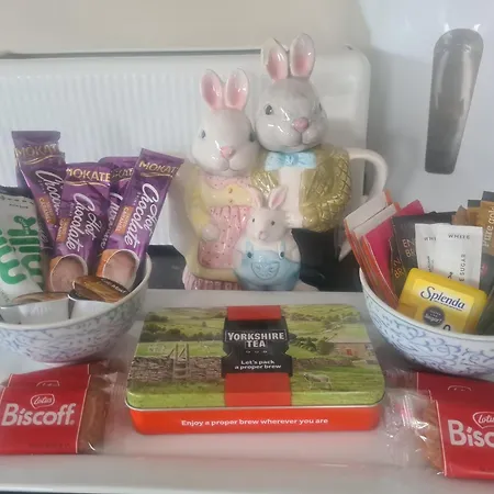 Camping The Mayflower